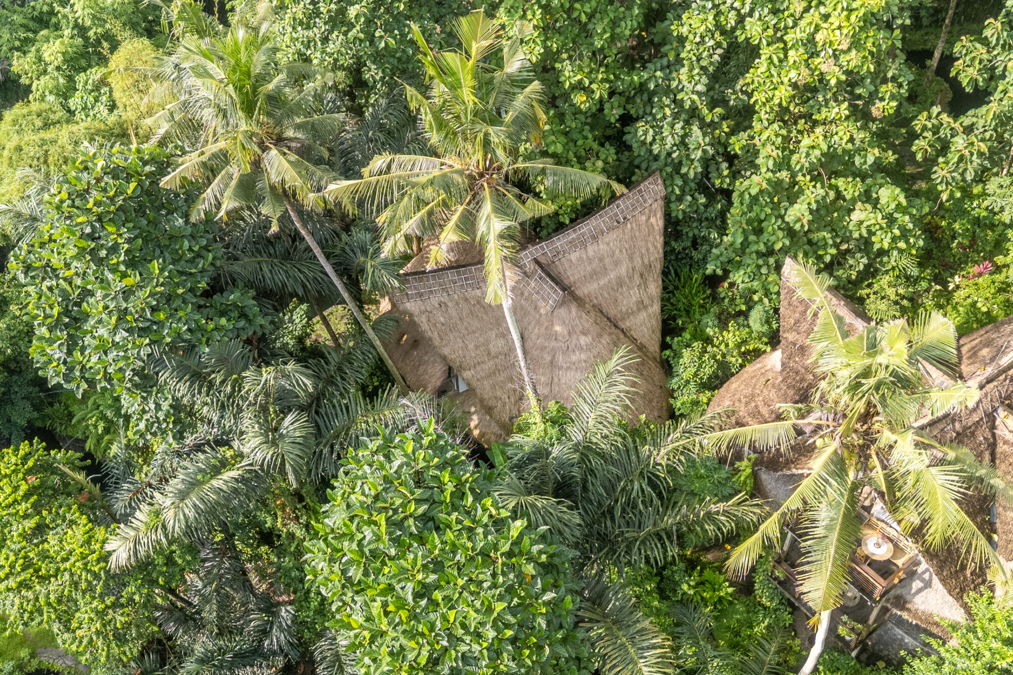 eco village sibang