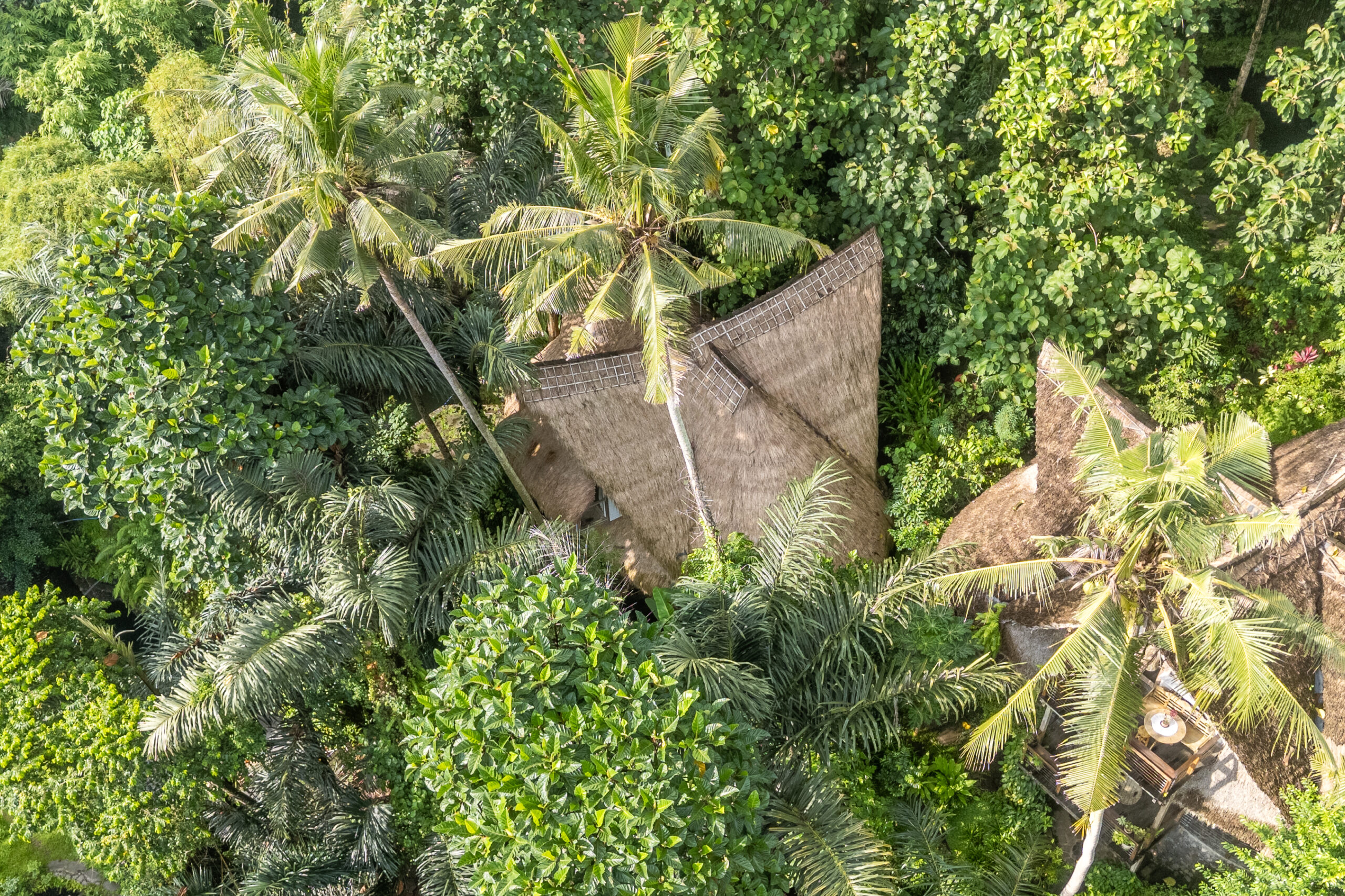 eco village sibang