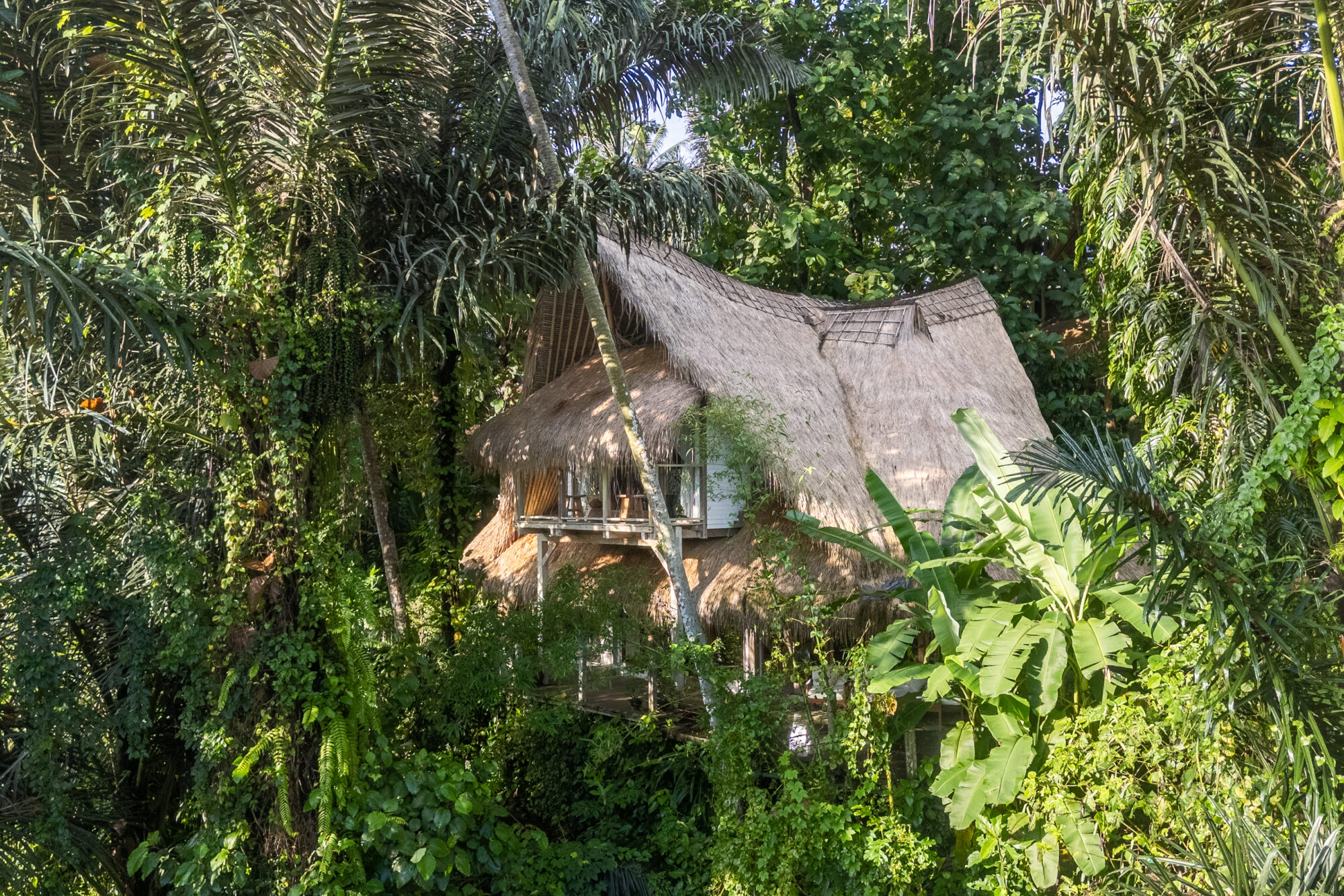 eco village sibang