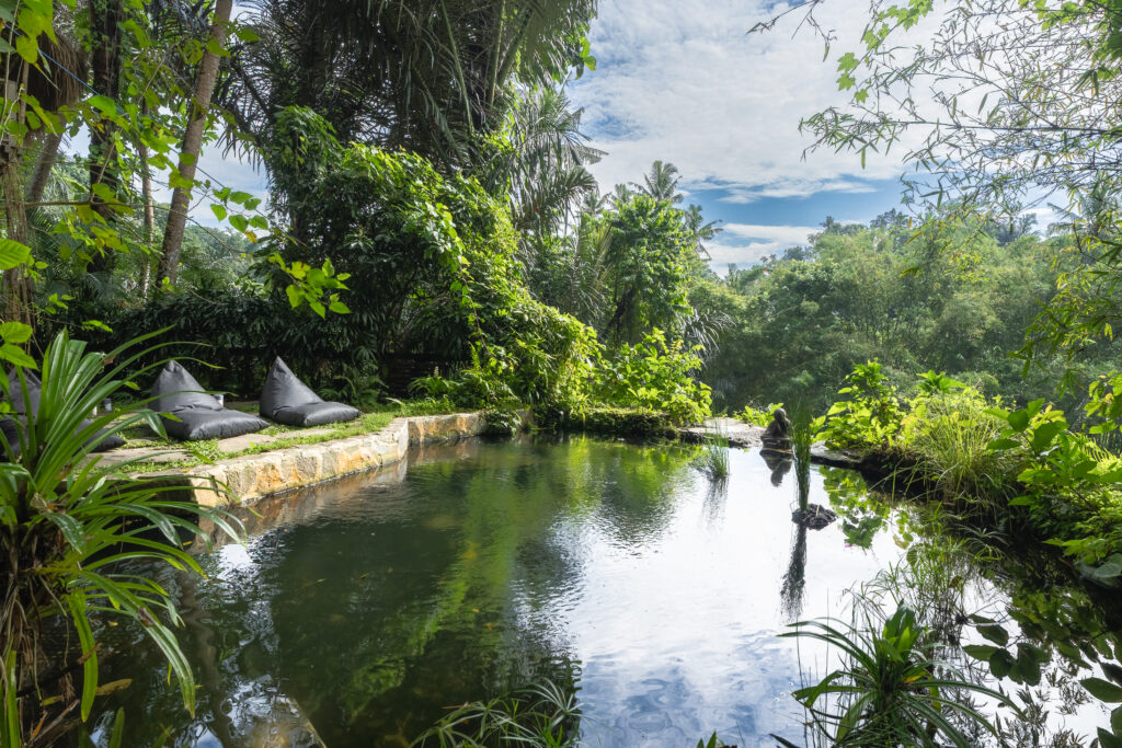 natural pool eco villa bali