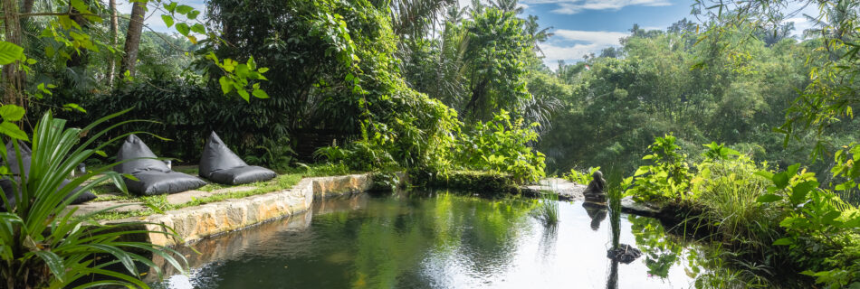 natural pool eco villa bali