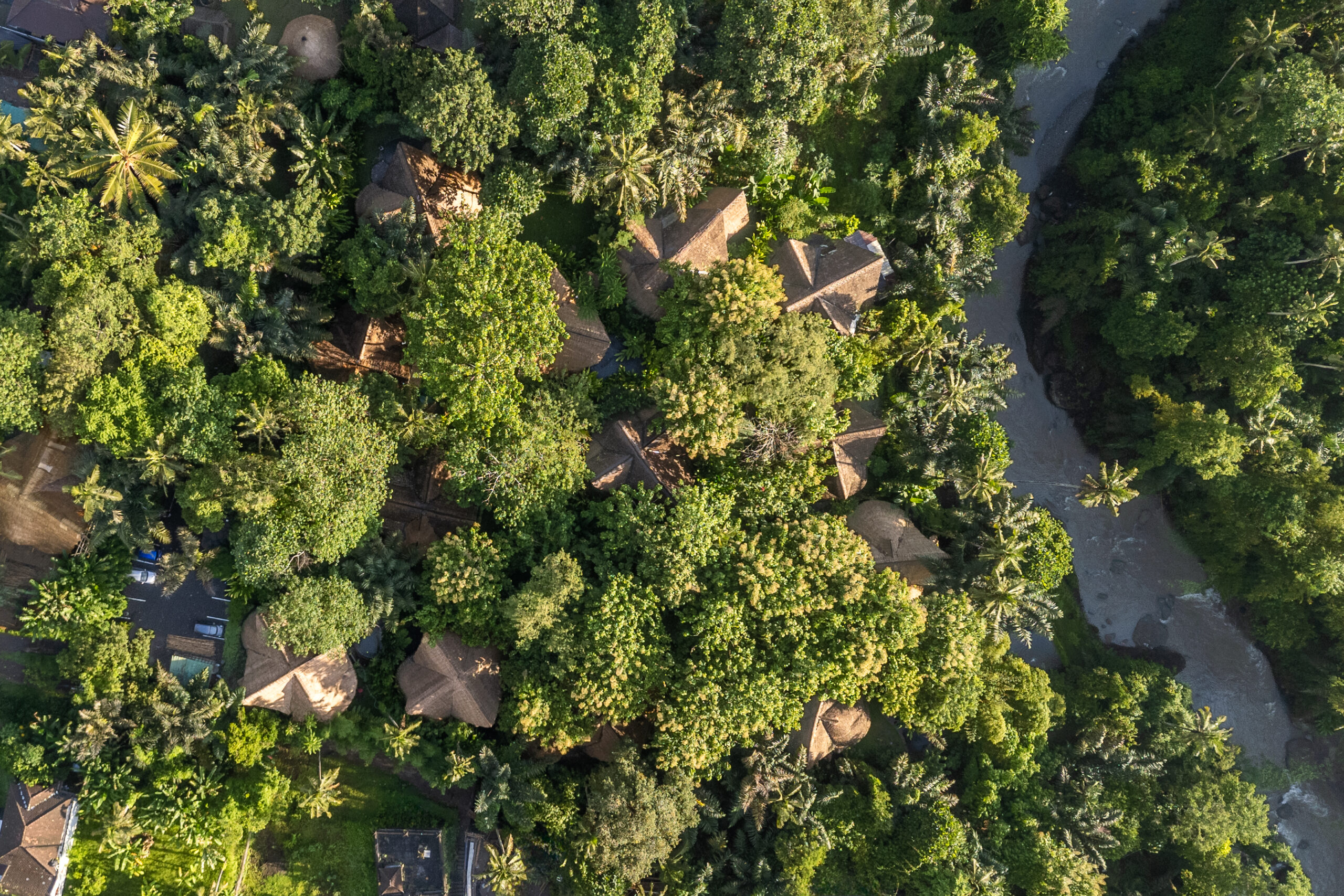 Why Your Neighborhood Matters: The Power of the Eco Village Sibang Community